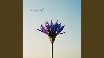 The Quietly Forming Answer