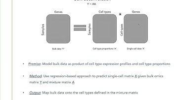 Deconvolution of bulk proteomics using single-cell... - Ahmed Youssef - SysMod - Poster - ISMB 2022