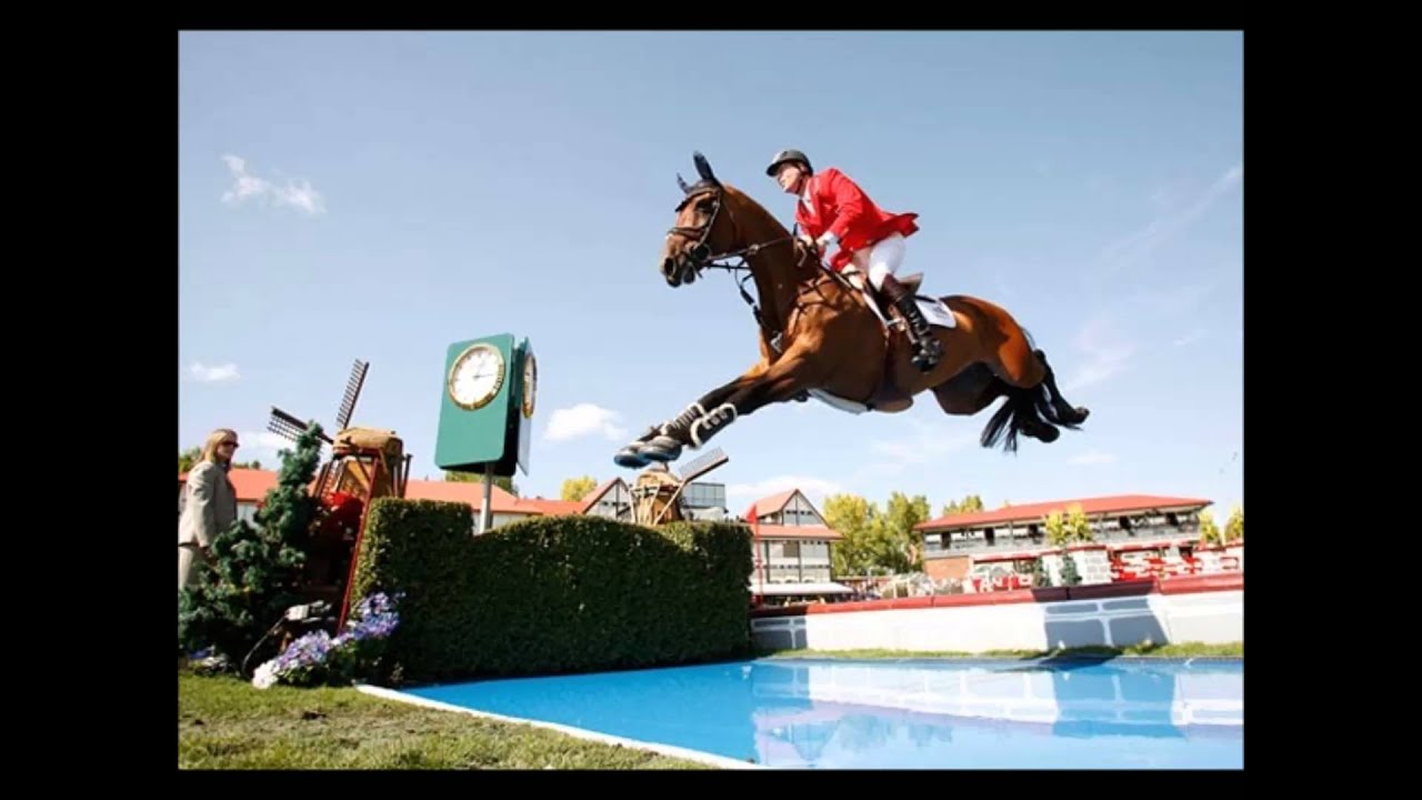 Foto de Cavalo Pulando Obstáculos Durante O Treinamento De Escola