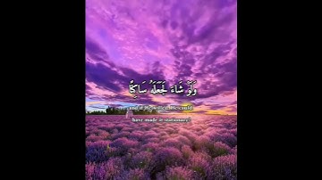 القارئ محمد الفقيه😴❤️حالات واتس اب دينية قصيرة | قرآن كريم بصوت جميل جدا