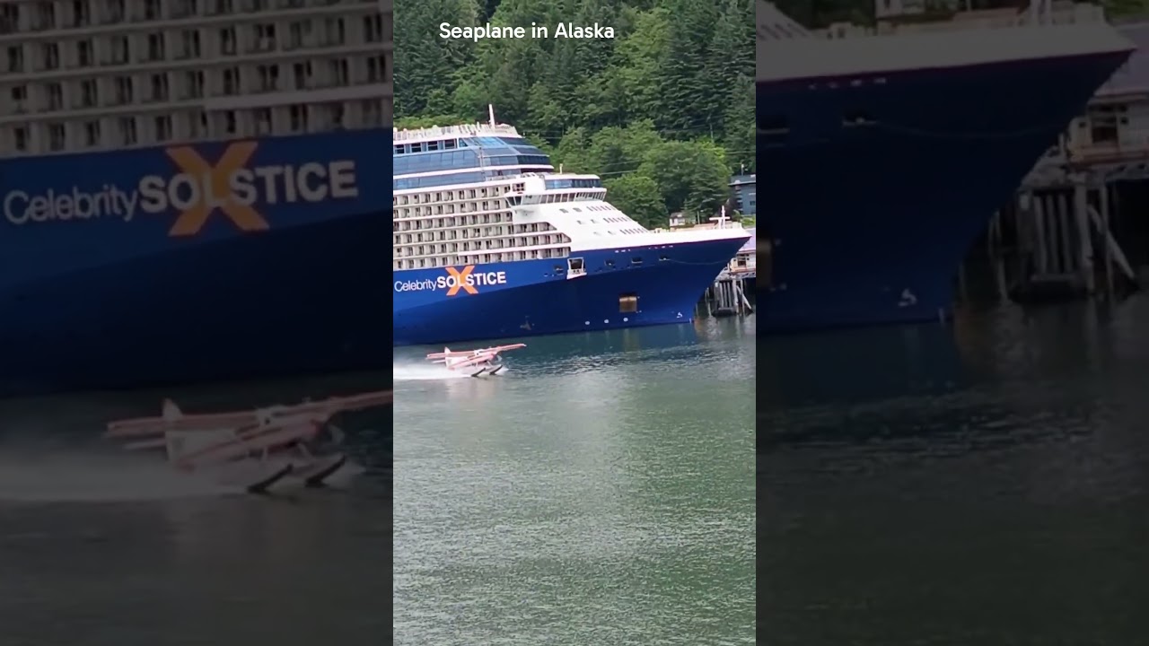 Seaplane take off in Alaska,,, 🤠🚢⚓🐻🇺🇸 #celebration #cruisetour #cruiseship