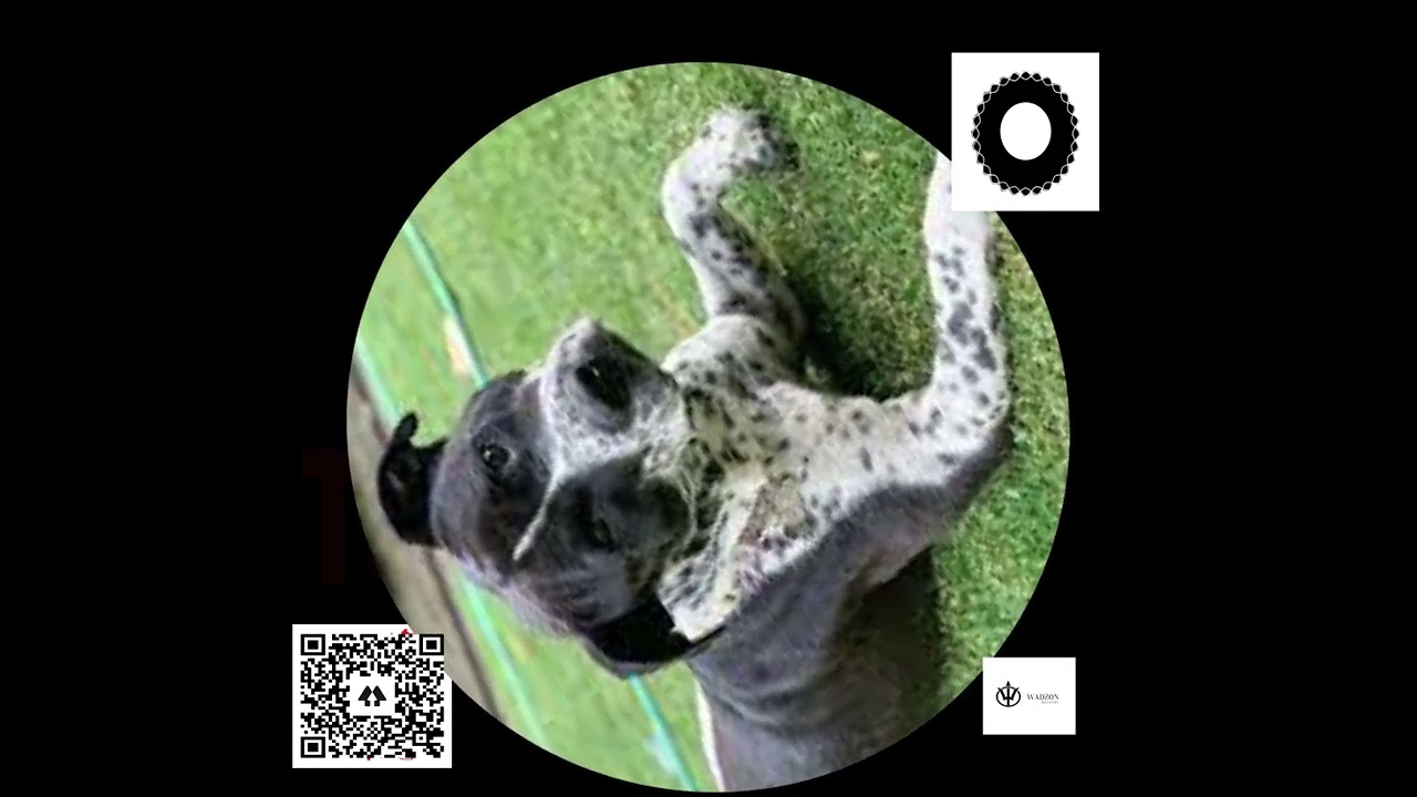 Dozon ZafG Merch - Tabogo