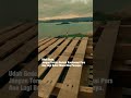 IYE IN AJA PURA2YA #josiesunsetcorner #quotes #sunrise #love #videoshorts #youtubeshorts #beranda