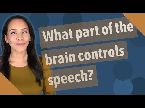 What Part Of The Brain Controls Speech