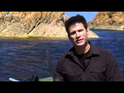 shocking definition Man, Woman, Wild - EP 4 - Sneak Peek