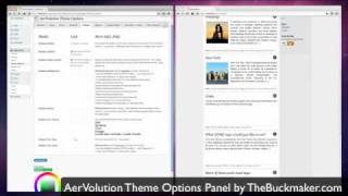 AerVolution Theme Options Panel