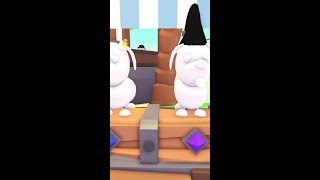 What accessories should I buy today...✨