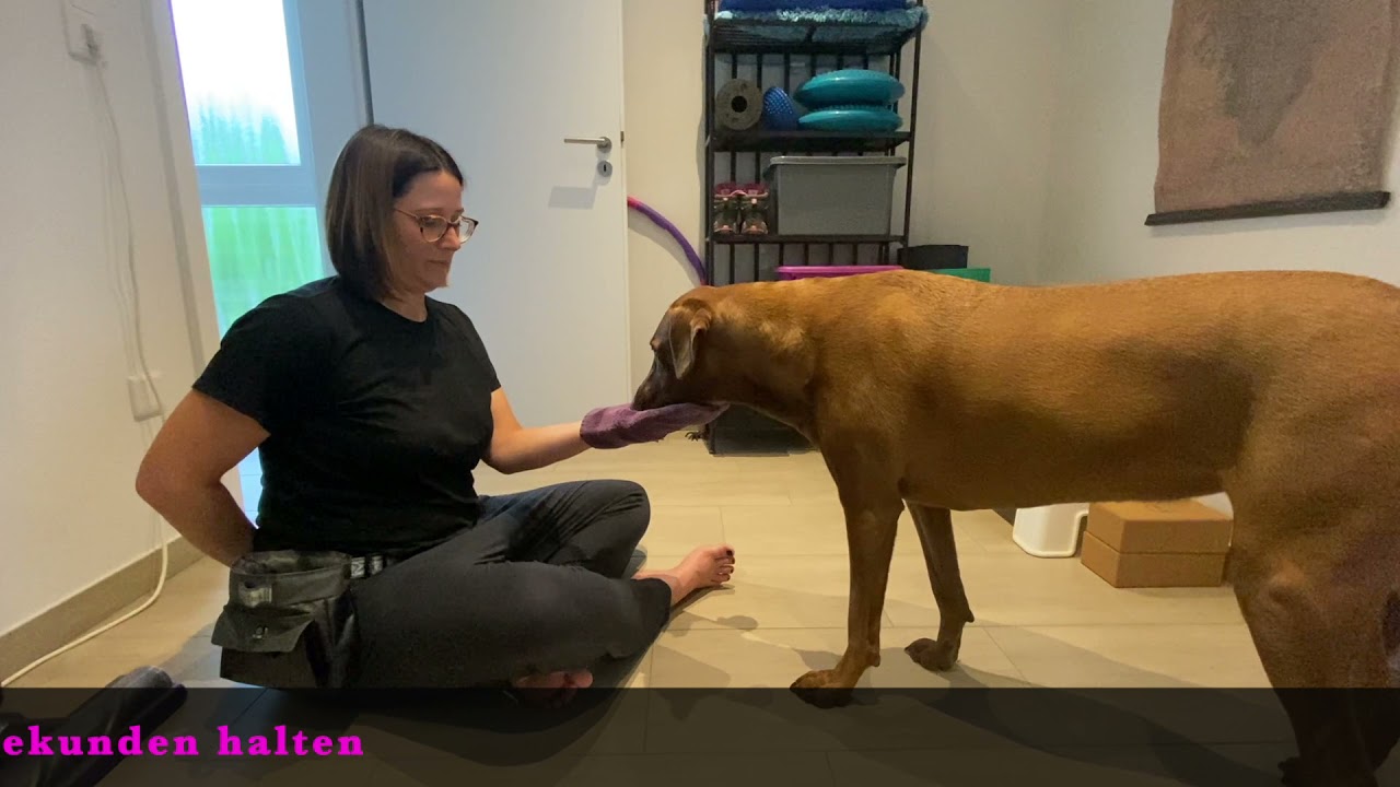 Medical Training - Kinntarget