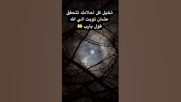 تلاوة خاشعة تريح القلب ♥️ #قرآن