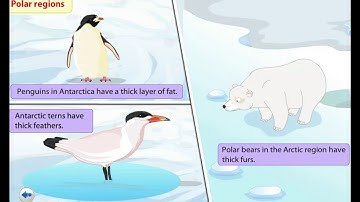 SCIENCE 3 UNIT 5 TYPES OF HABITAT
