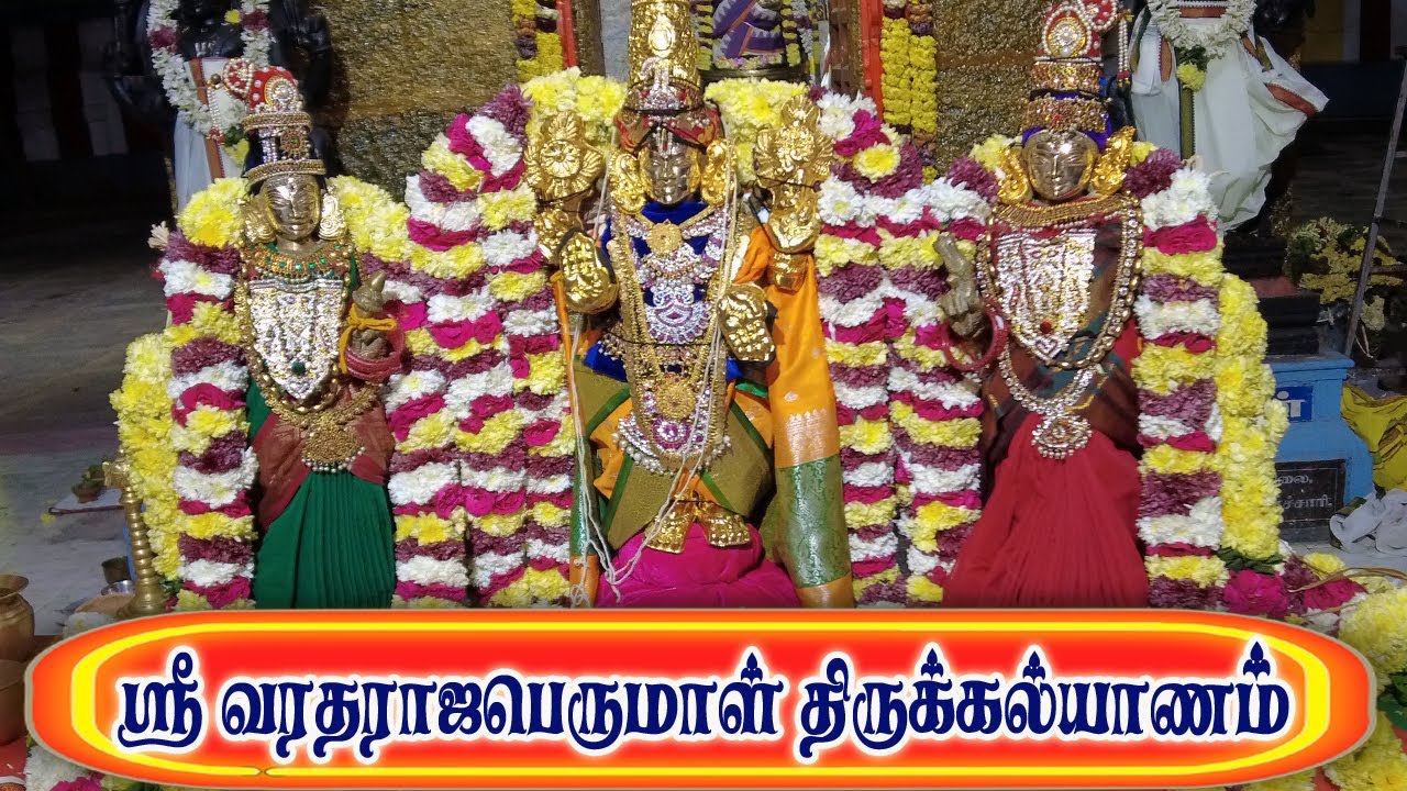 💥ஸ்ரீ வரதராஜபெருமாள் திருக்கல்யாணம் /ஒரே வைபவத்தில் ஆறு திருமாங்கல்ய தாரண உற்சவம்
