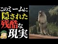 【闇】マーモットミームに隠された残酷な現実【解説】