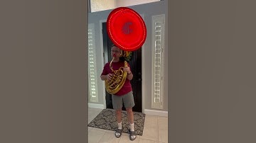 Sousaphone audio-reactive LED Light strip POC test