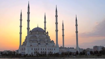 من سورة يس (55-83) / محمد العامر