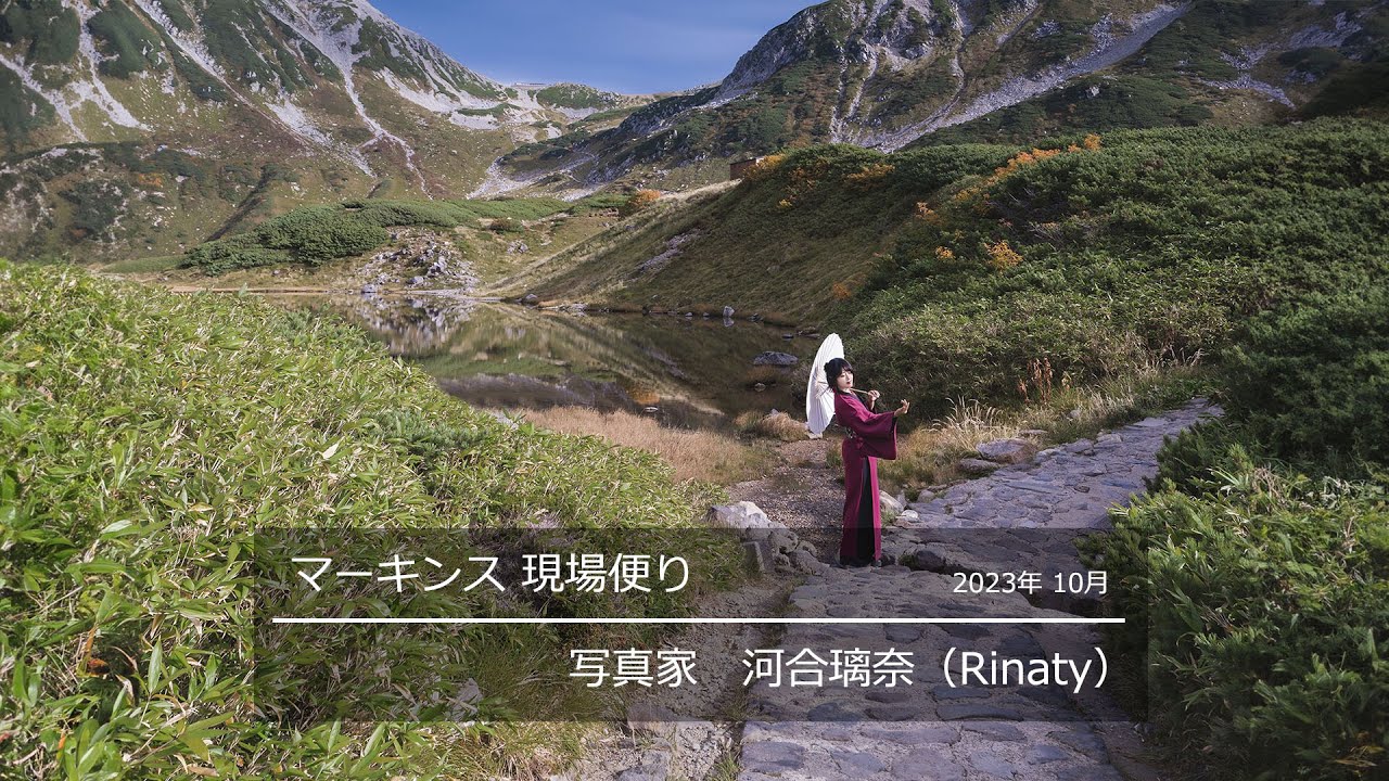 セルフポートレート　トップス　AINEA セルフポートレート」の魅力｜Rinaty | ShaSha