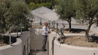 SMART farming: a revolution for traditional olive production on Crete