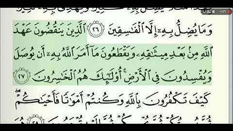 القرآن الكريم صفحة رقم 5 الشيخ وديع اليمني