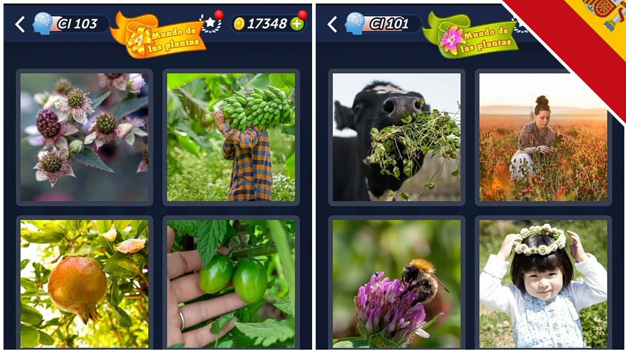 4 Fotos 1 Palabra - Mundo de las plantas - 12.03.2024 - Soluciones
