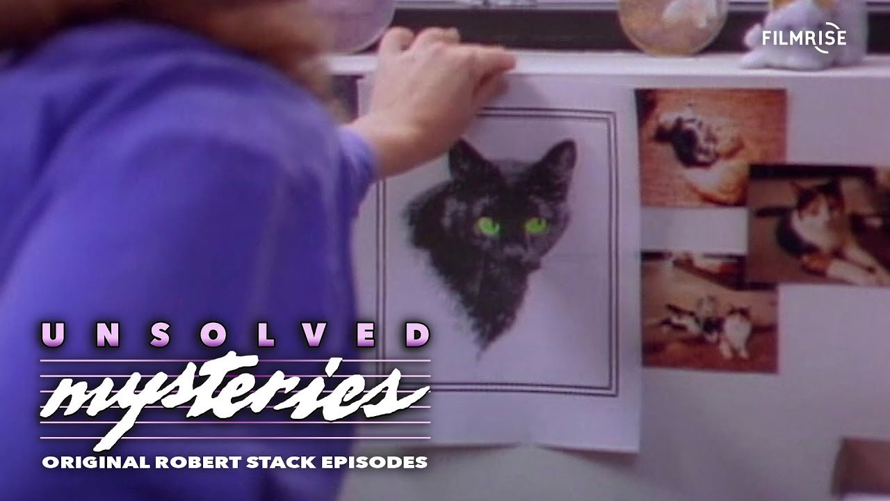Unsolved Mysteries with Robert Stack - Season 6, Episode 17 - Full ...