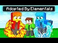 Adopted by ELEMENTALS in Minecraft!