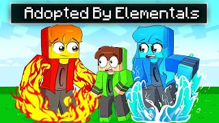 Adopted by ELEMENTALS in Minecraft!