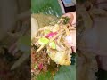 Menikmati pecel dengan tempe mendoan dan gembus #pecel #tempemendoan #food #kuliner #makanan #shorts