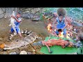 Primitive Survival: How to Catch Crocodiles, Cook Them and Make BBQ with Chili Sauce