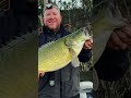 Murraycod fishing EPIC TRIP #fishingvideos #murraycod