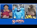 Doctors Tests Corona Positive | Monkeys Addicted To Humans Food | V6 Teenmaar News