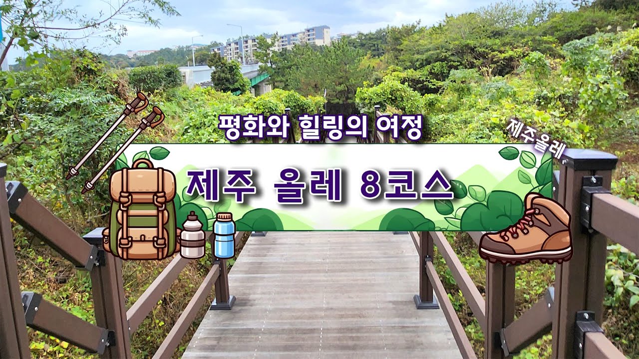 [4k] 제주올레 ｜ 평화와 힐링의 여정, 올레 8코스