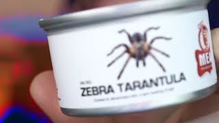 TARANTULA IN A CAN (Mail Time #18)