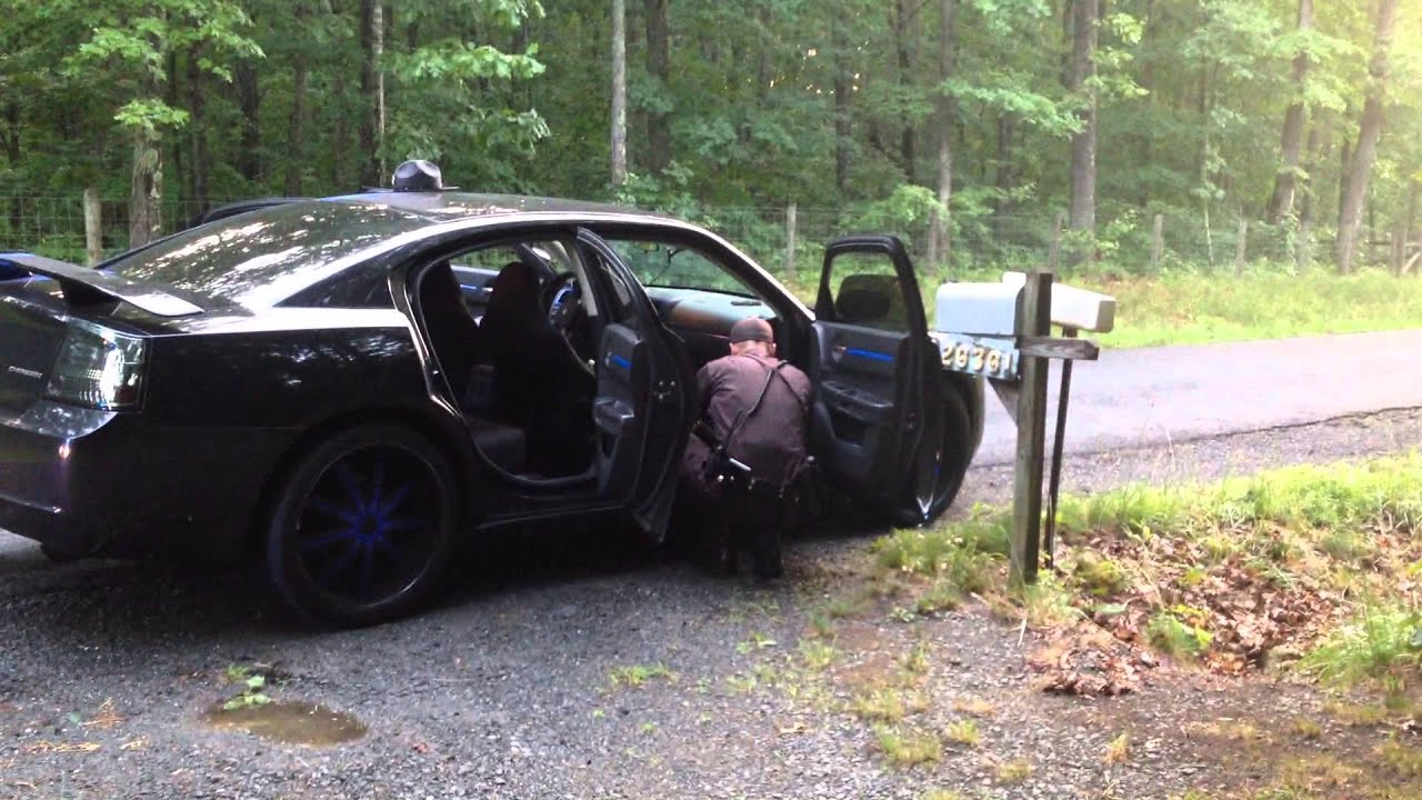 Record number of drug arrests at Field Day festival in Sydney