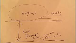 V4 Lytes & pH   #11   Hydrostatic Pressure