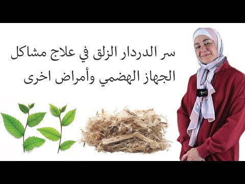 فوائد ومعجزة عشبة الدردار الزلق في علاج أمراض الجهاز الهضمي Lifestylewithnadia