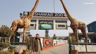 peshawar zoo || peshawar zoo park || zoo