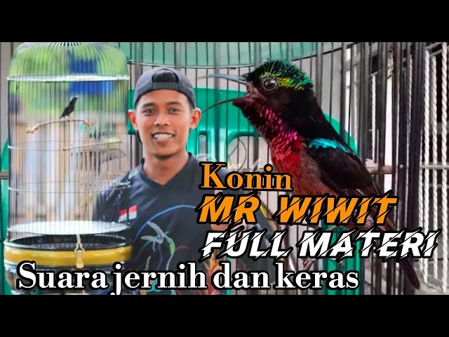 konin MR Wiwid full materi / konin lain bakal emosi dan bongkar materi class=