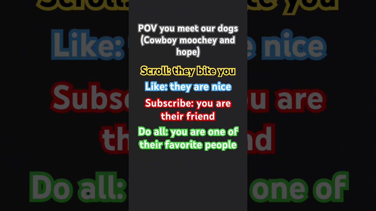 POV you meet our dogs