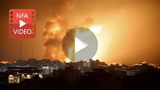 Emergency For Animals Caught In The Gaza-Israel Conflict