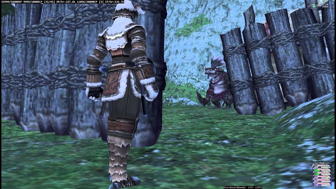 FFXI The Good, The Bad, The Clement (w fight)