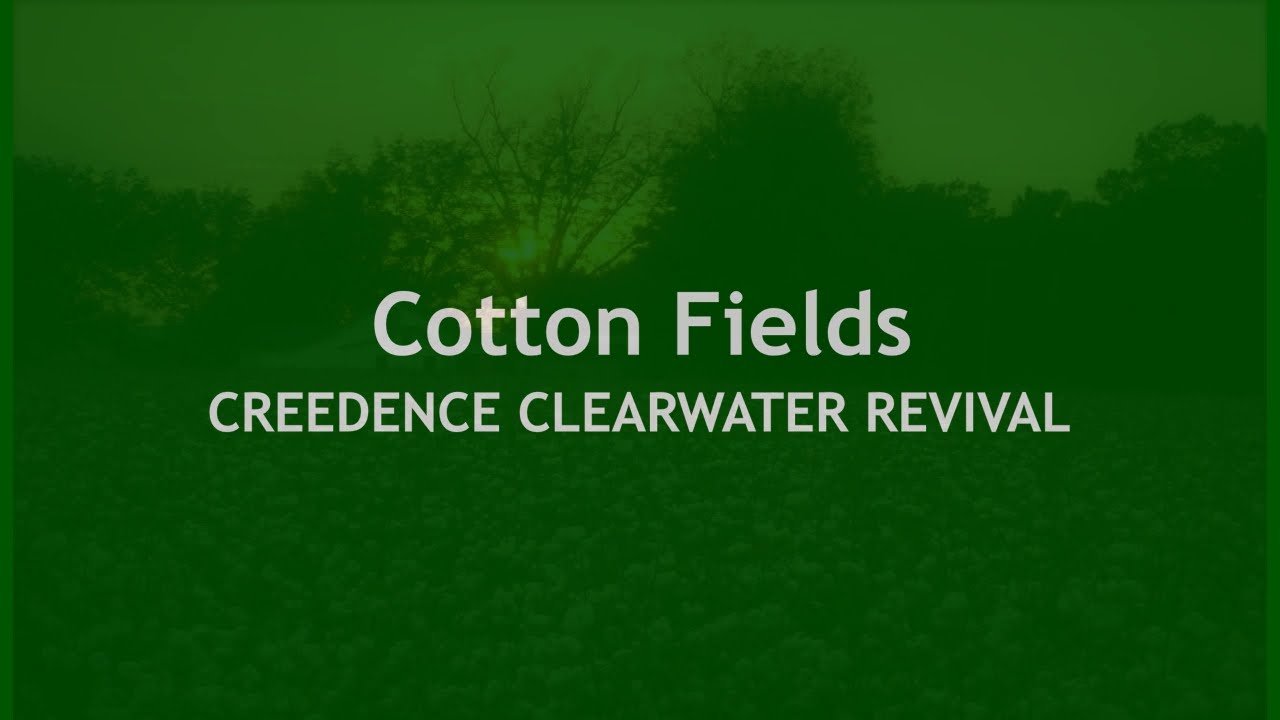 Cotton Fields CREEDENCE CLEARWATER REVIVAL (with lyrics) YouTube