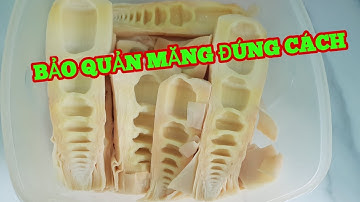 Mẹo Bảo quản MĂNG TƯƠI ĐÃ LUỘC đúng cách giòn thơm, không mất mùi măng .