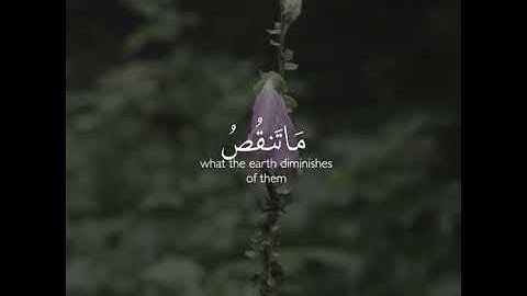 القارئ حسـام الدين عبـادي