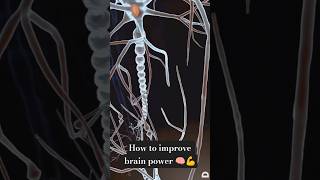 how to improve brain power 🧠💪✨#brainpower #brainreset #improvement #mentalhealth #awareness #yt