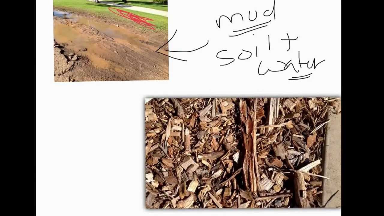 section 2 quiz case study soil