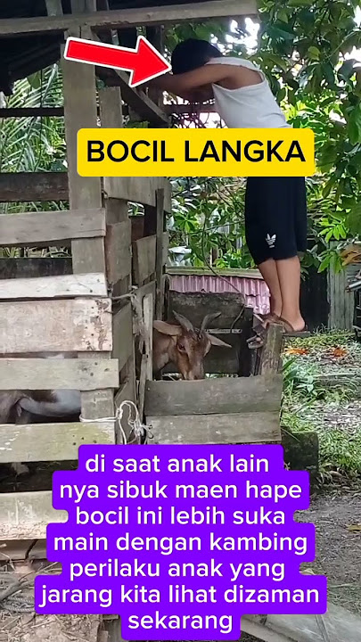 bocil langka #shortviral #shorts