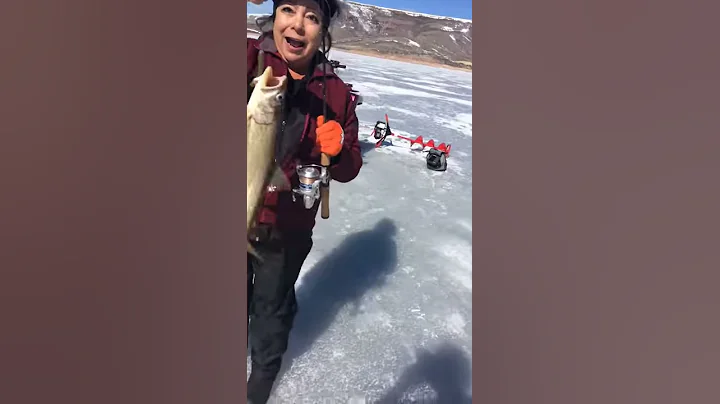 My first Lake trout!