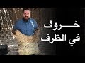 الخروف المشوي في سلطنة عمان  - الشواء العماني 🇴🇲 موسم ٤/ ح٣