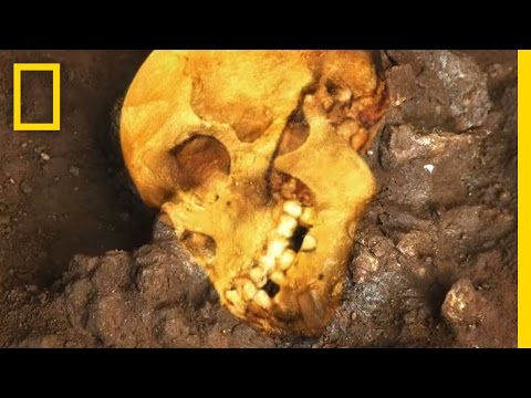 Video: A Catholic Priest Kept The Skeletons Of Giants 7 Meters High - Alternative View