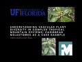 Understanding vascular plant diversity in complex tropical mountain systems (Dr. Andre A. Naranjo)