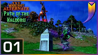 Warcraft 3 Alternate: Path of the Kaldorei 01 - Trudging through the Ruins